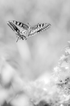Coach en développement personnel, entre METZ et NANCY.